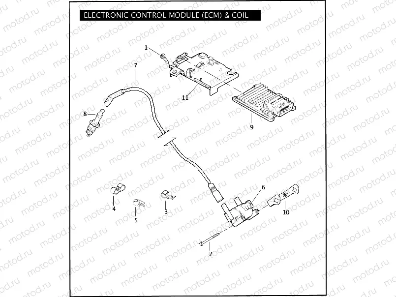 ELECTRONIC CONTROL MODULE (ECM) & COIL