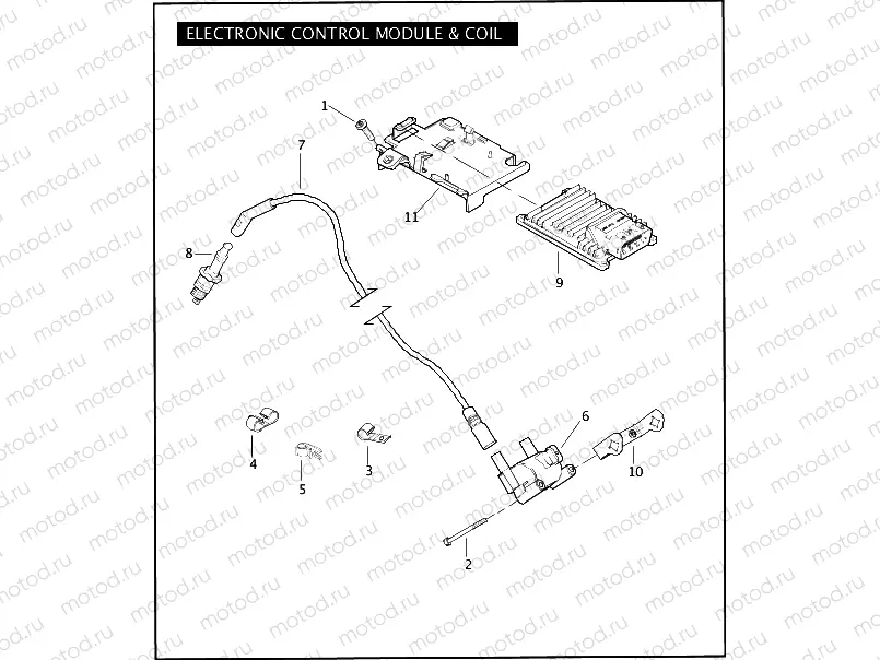 ELECTRONIC CONTROL MODULE (ECM) & COIL