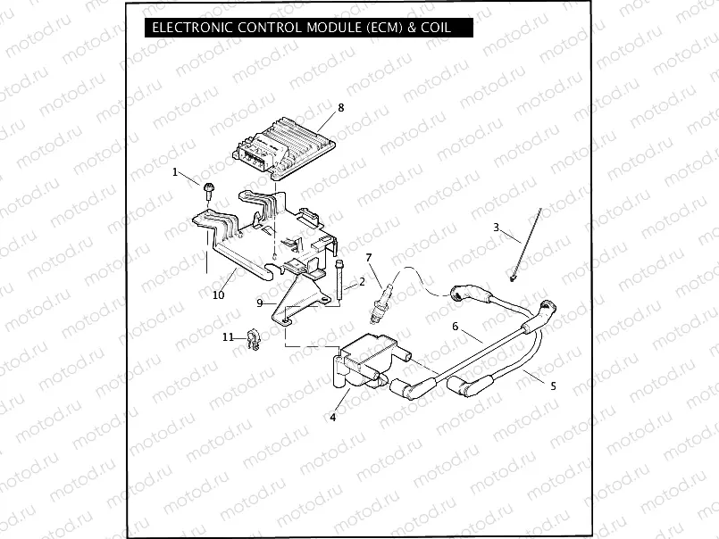ELECTRONIC CONTROL MODULE (ECM) & COIL