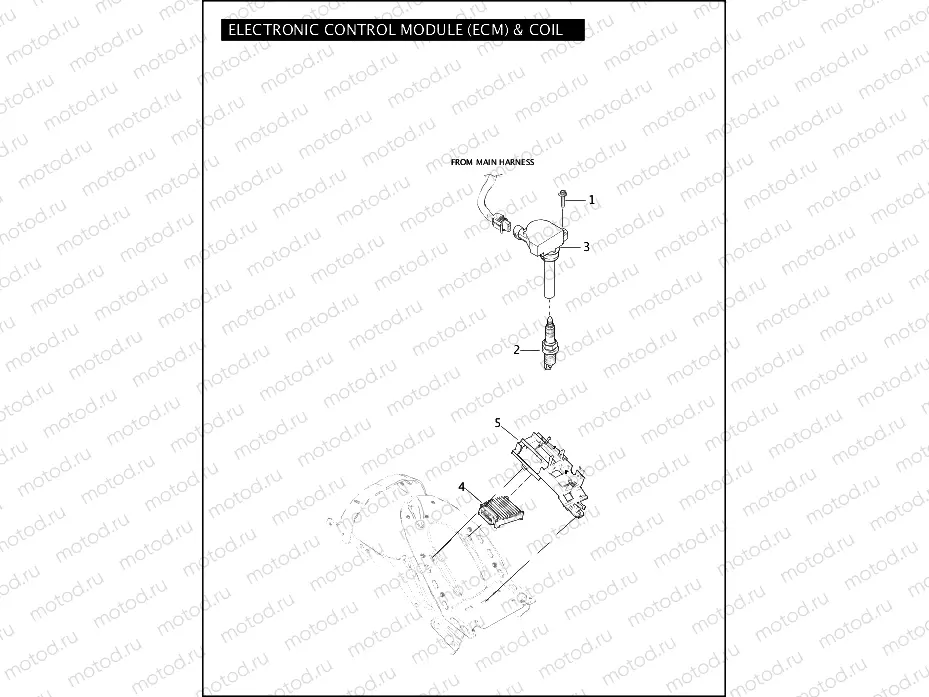 ELECTRONIC CONTROL MODULE (ECM) & COIL