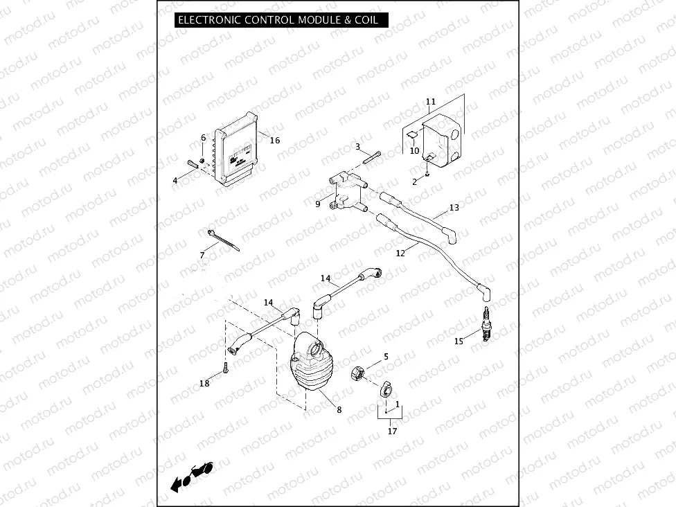 ELECTRONIC CONTROL MODULE (ECM) & COIL