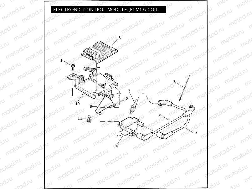ELECTRONIC CONTROL MODULE (ECM) & COIL