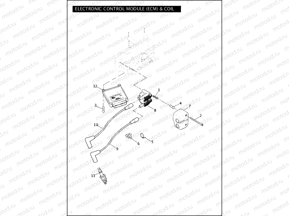 ELECTRONIC CONTROL MODULE (ECM) & COIL
