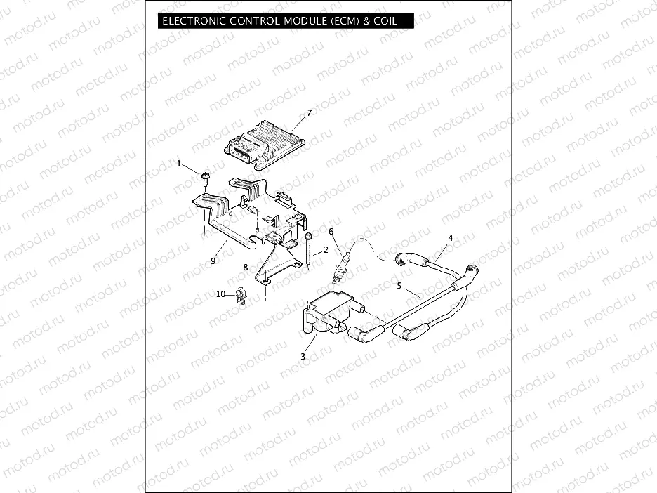 ELECTRONIC CONTROL MODULE (ECM) & COIL