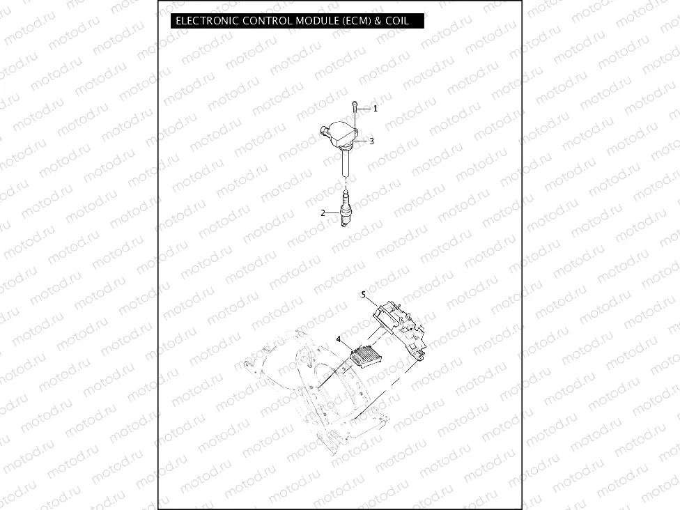 ELECTRONIC CONTROL MODULE (ECM) & COIL