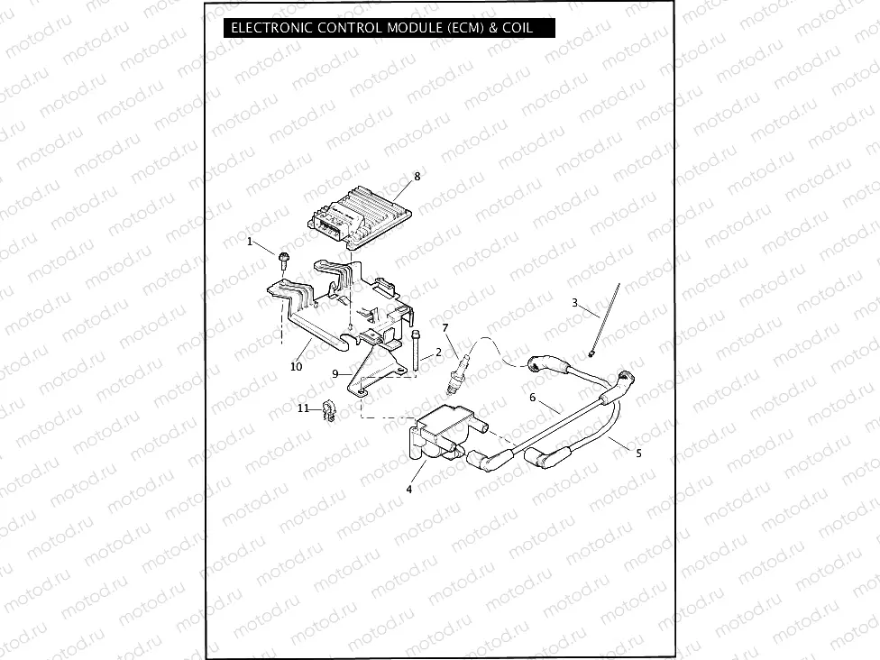 ELECTRONIC CONTROL MODULE (ECM) & COIL