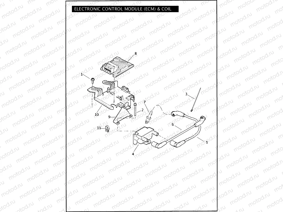 ELECTRONIC CONTROL MODULE (ECM) & COIL