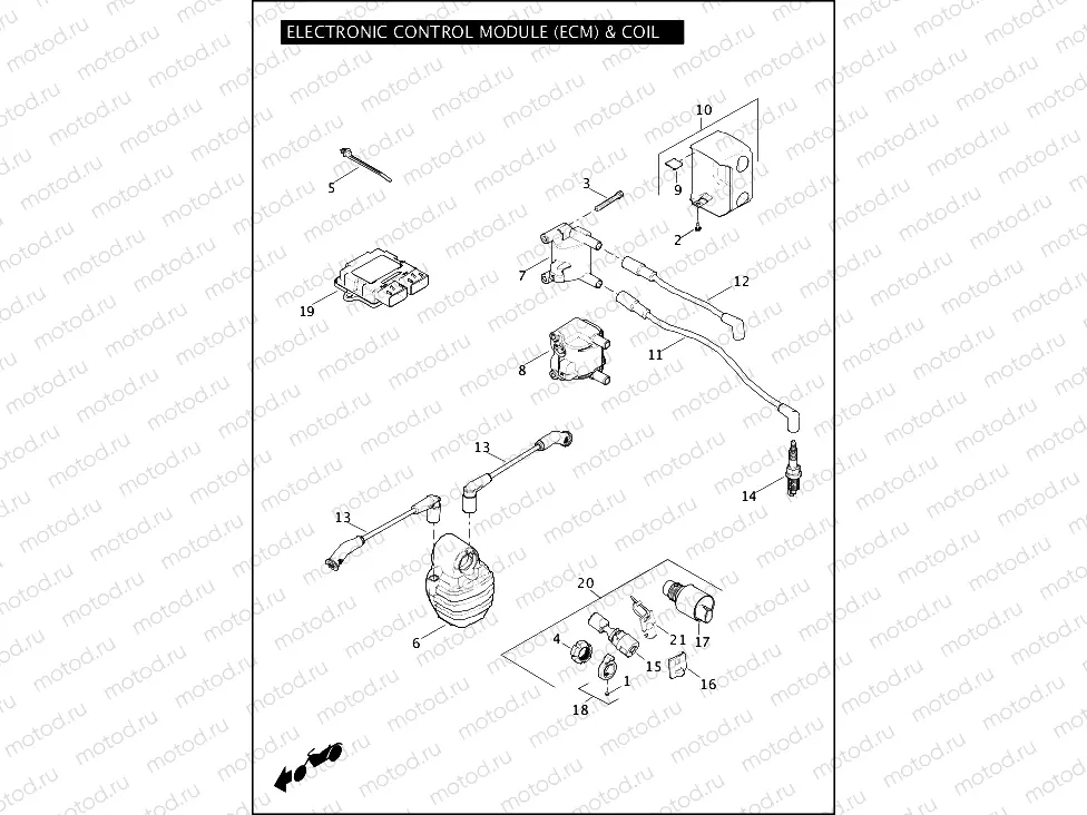 ELECTRONIC CONTROL MODULE (ECM) & COIL