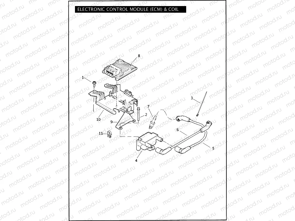 ELECTRONIC CONTROL MODULE (ECM) & COIL