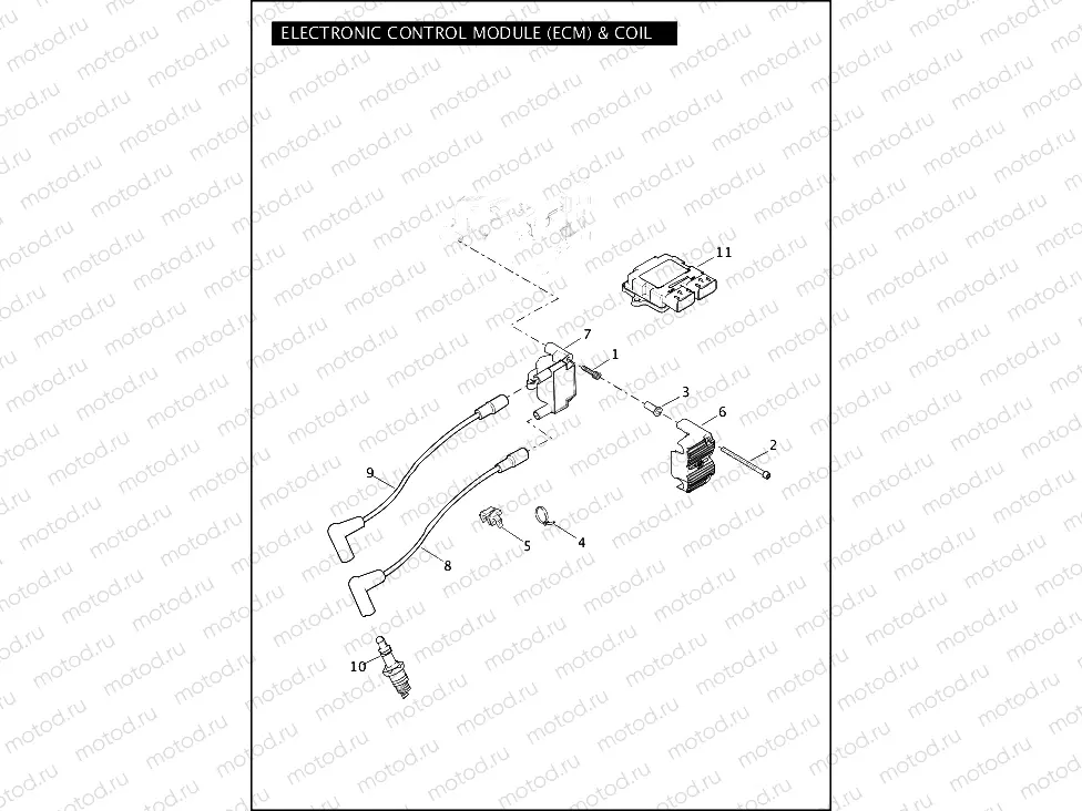 ELECTRONIC CONTROL MODULE (ECM) & COIL