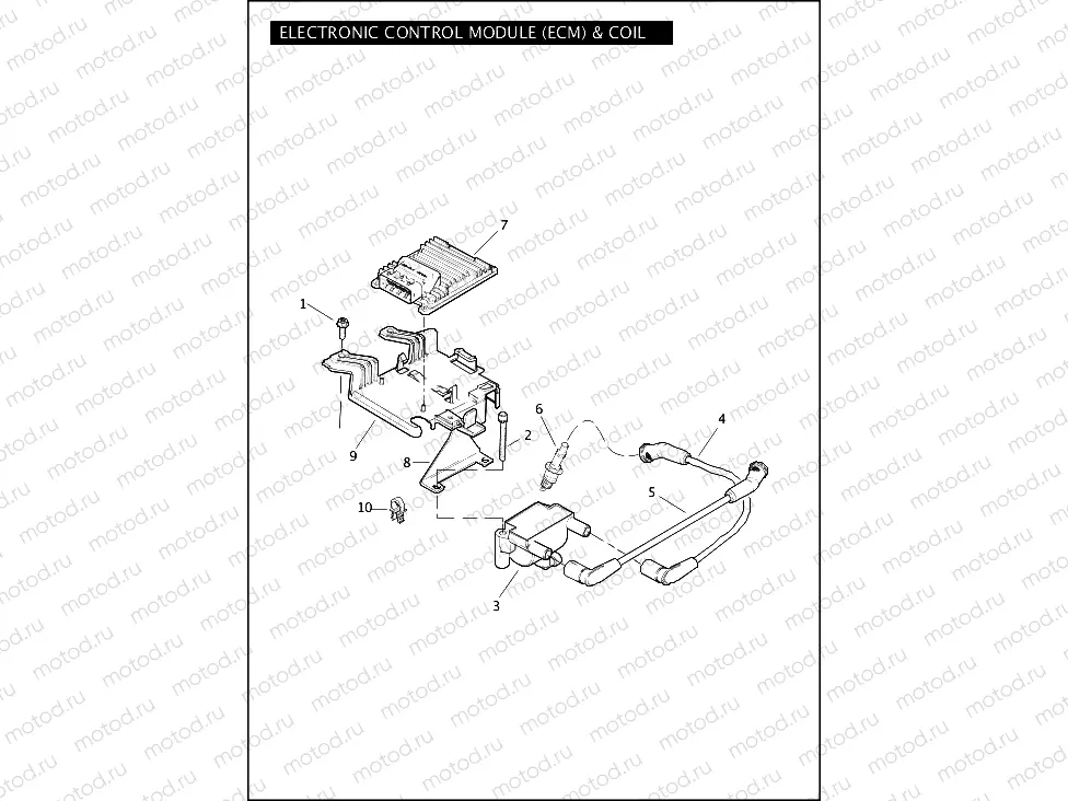 ELECTRONIC CONTROL MODULE (ECM) & COIL