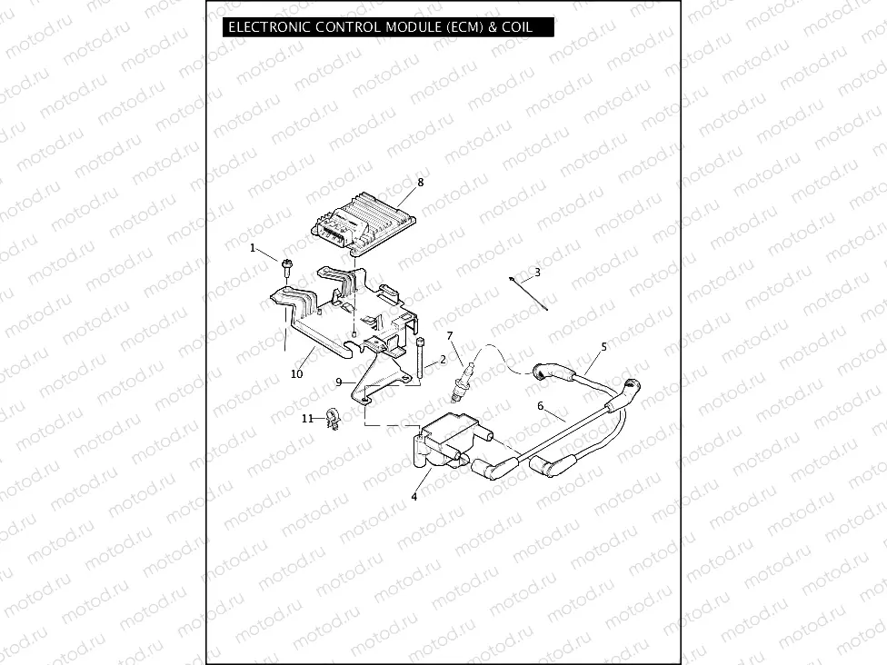 ELECTRONIC CONTROL MODULE (ECM) & COIL