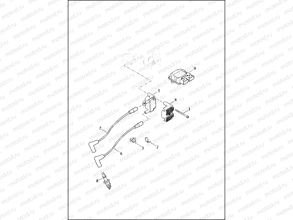 ELECTRONIC CONTROL MODULE (ECM) & COIL