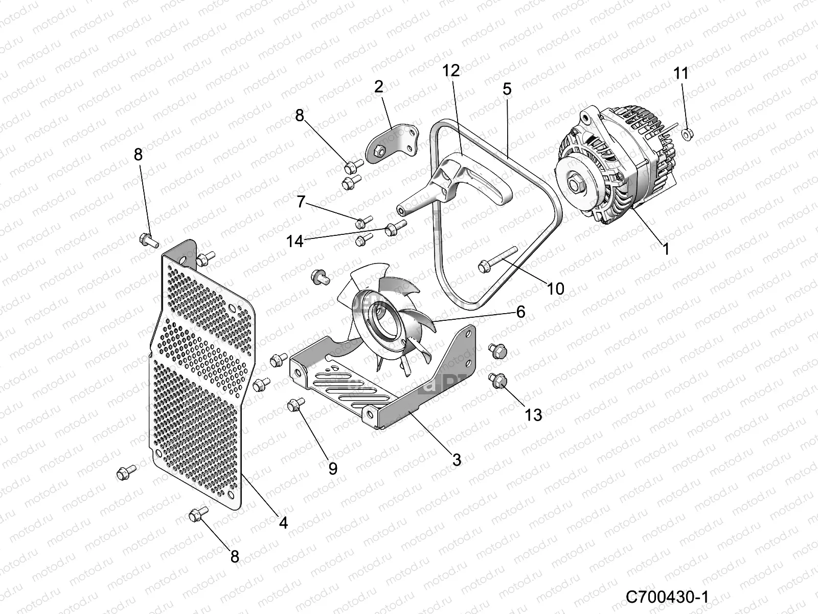 ENGINE | ENGINE, ALTERNATOR - D21BBPD4B4 (C700430-1)