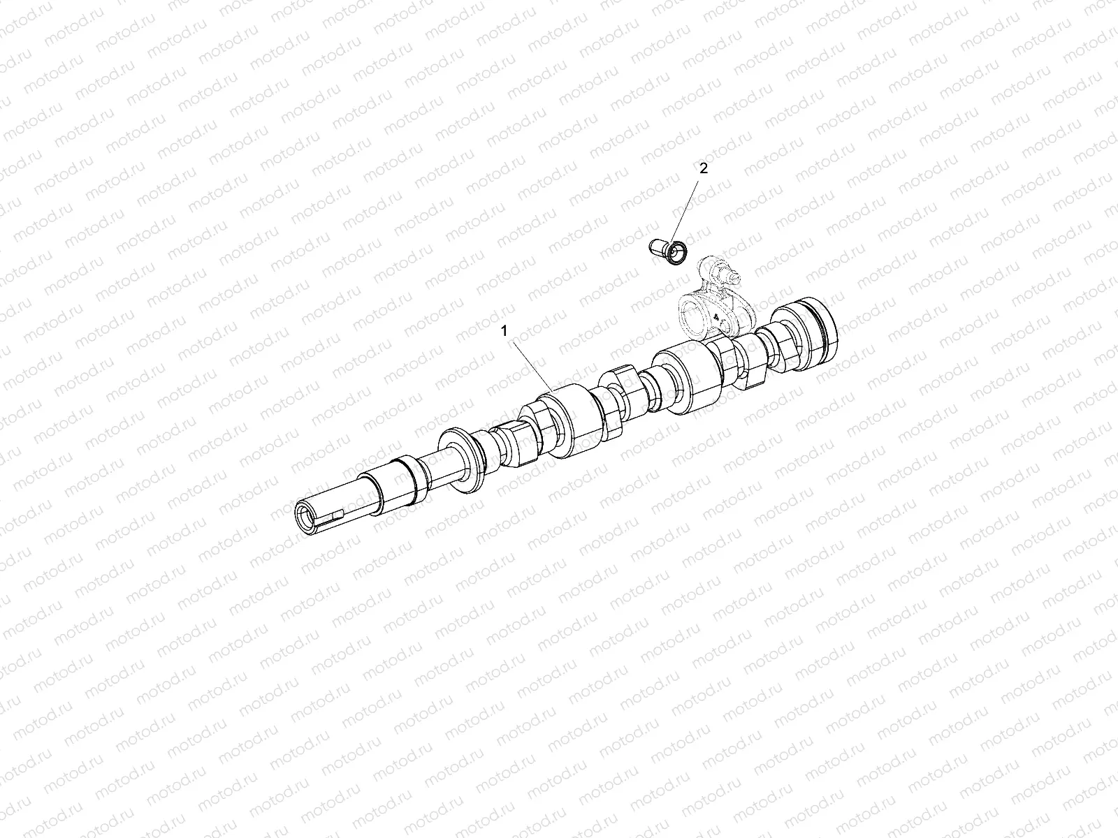 ENGINE | ENGINE, CAMSHAFT, PUSH ROD - R17B1PD1AA/2P (49BRUTUSCAMSHAFT15DSL)