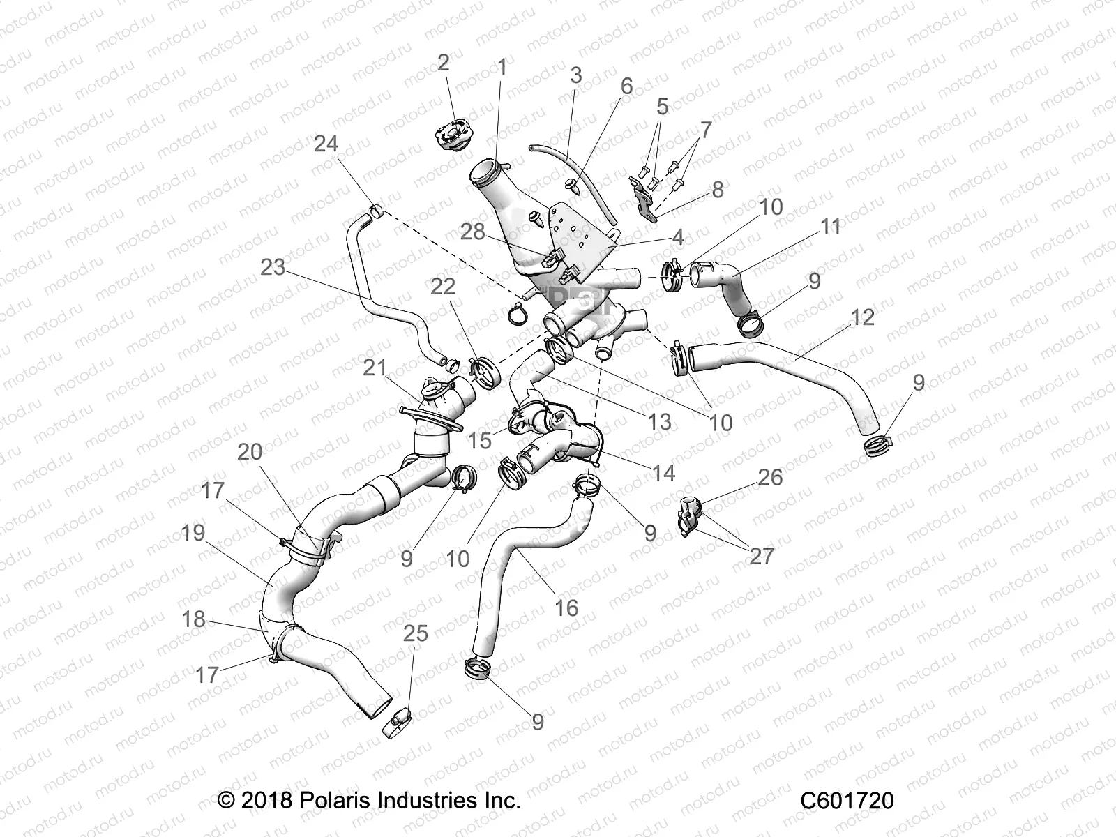 ENGINE | ENGINE, COOLING SYSTEM - S21EDP8RS ALL OPTIONS (C601720)