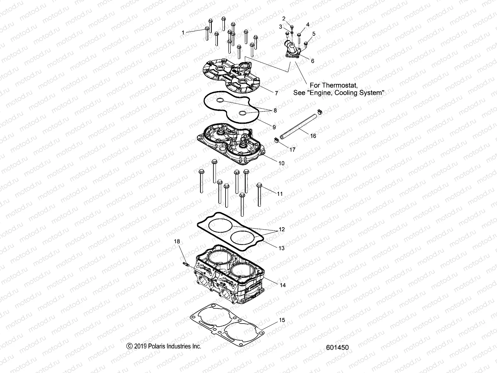 ENGINE | ENGINE, CYLINDER - S20DDL8PS ALL OPTIONS (601450)
