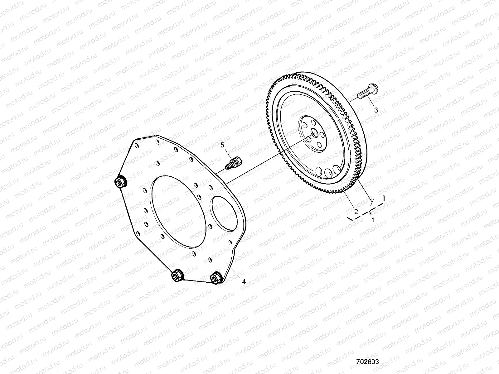 ENGINE | ENGINE, FLYWHEEL - D21BBPD4B4 (702603)