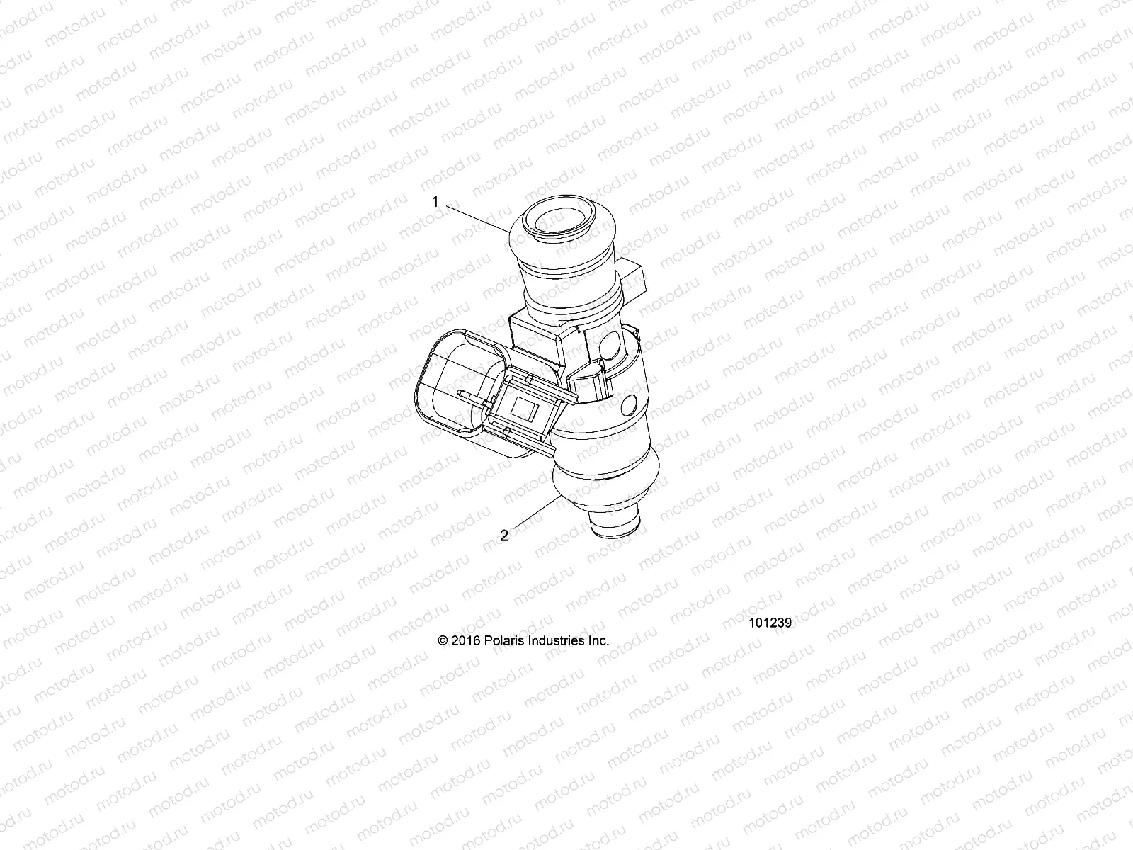 ENGINE | ENGINE, FUEL INJECTOR 2521068 O-RINGS - A19SHD57B9/E57BJ/E57BW (101239)