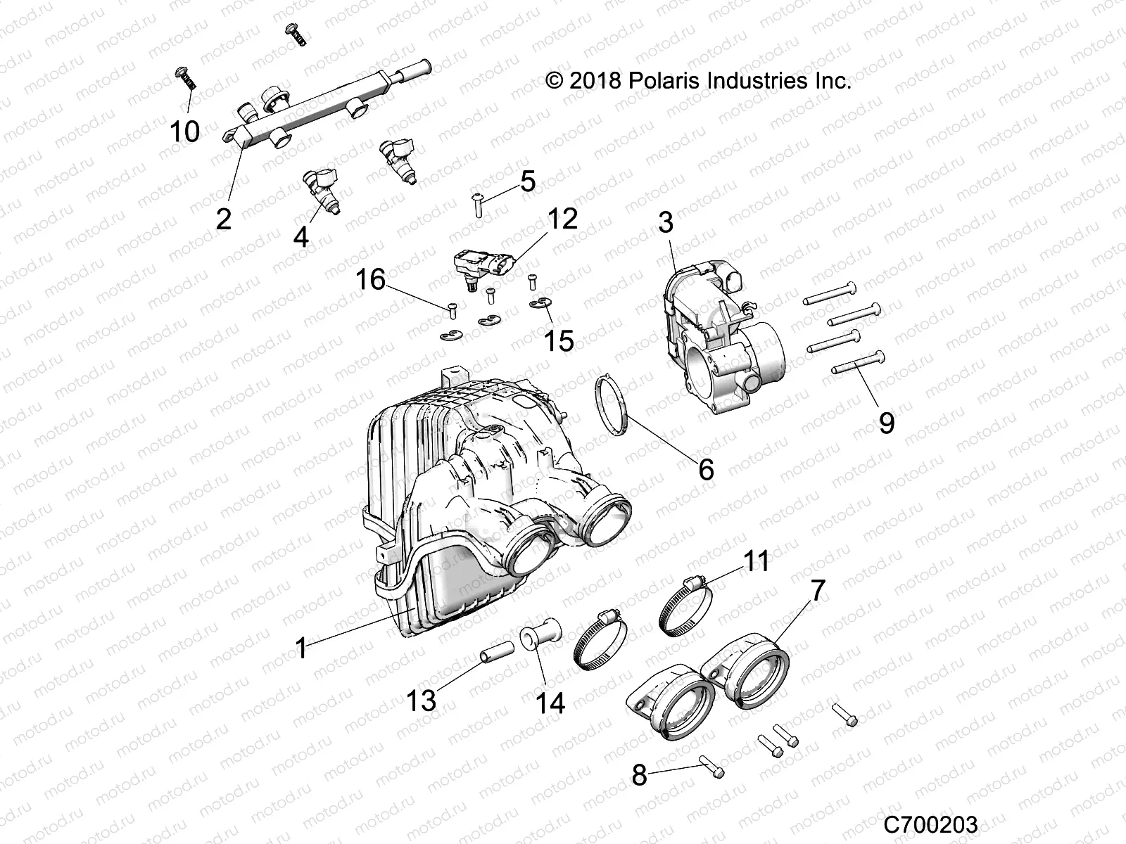 ENGINE | ENGINE, INTAKE and THROTTLE BODY - R19RT_87 ALL OPTIONS (C700203)