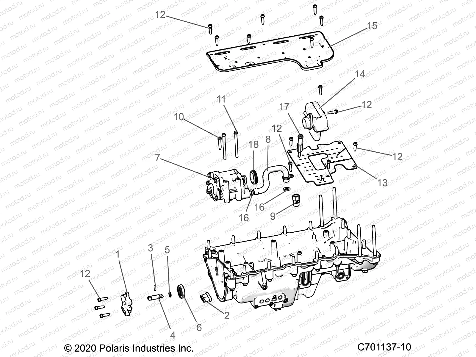 ENGINE | ENGINE, OIL PUMP AND RELATED - Z22RME2KAG/BG/K2KAN/BN/BG/K2KAN/BN/V2KAN/BN (C701137-10)