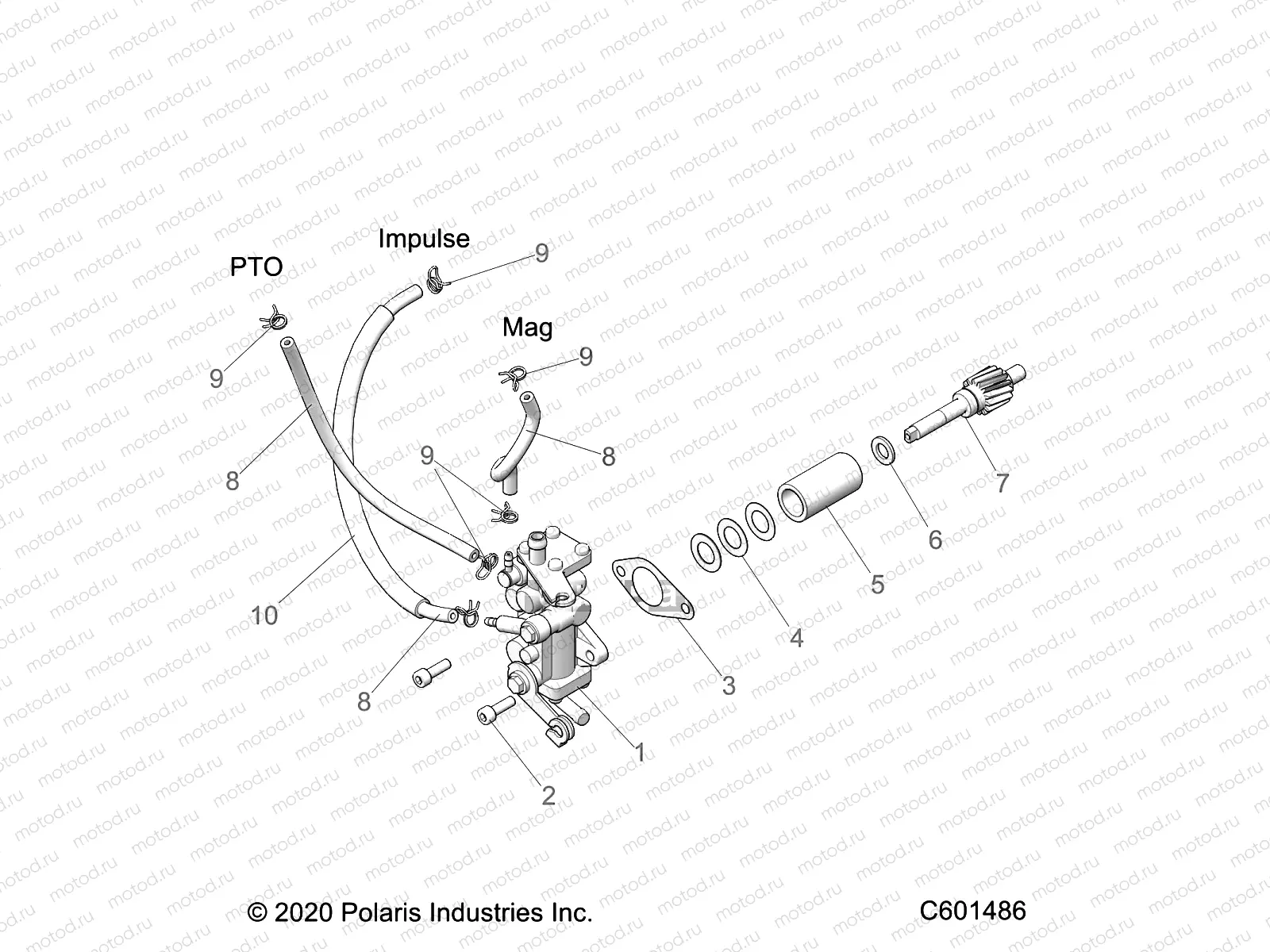 ENGINE | ENGINE, OIL PUMP - S22CBU5TSL (C601486)