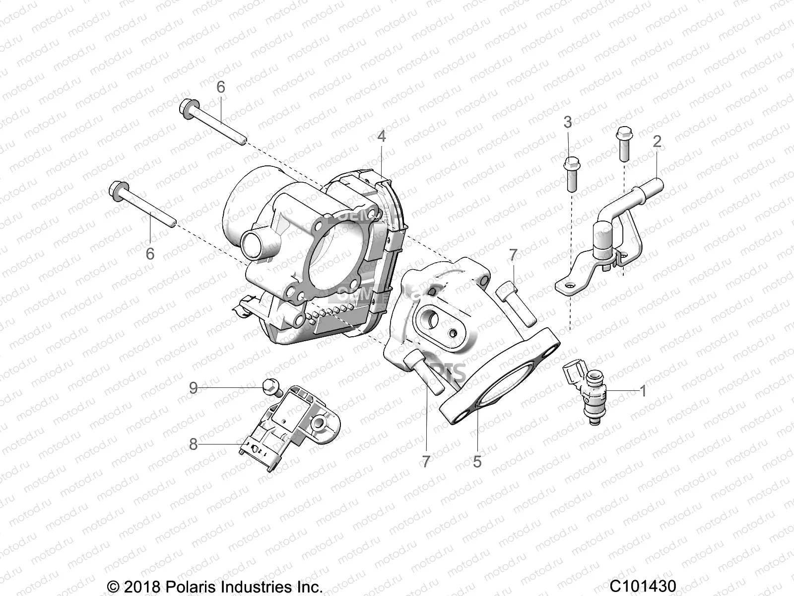 ENGINE | ENGINE, THROTTLE BODY and FUEL RAIL - A19S6E57F1/FL (C101430)