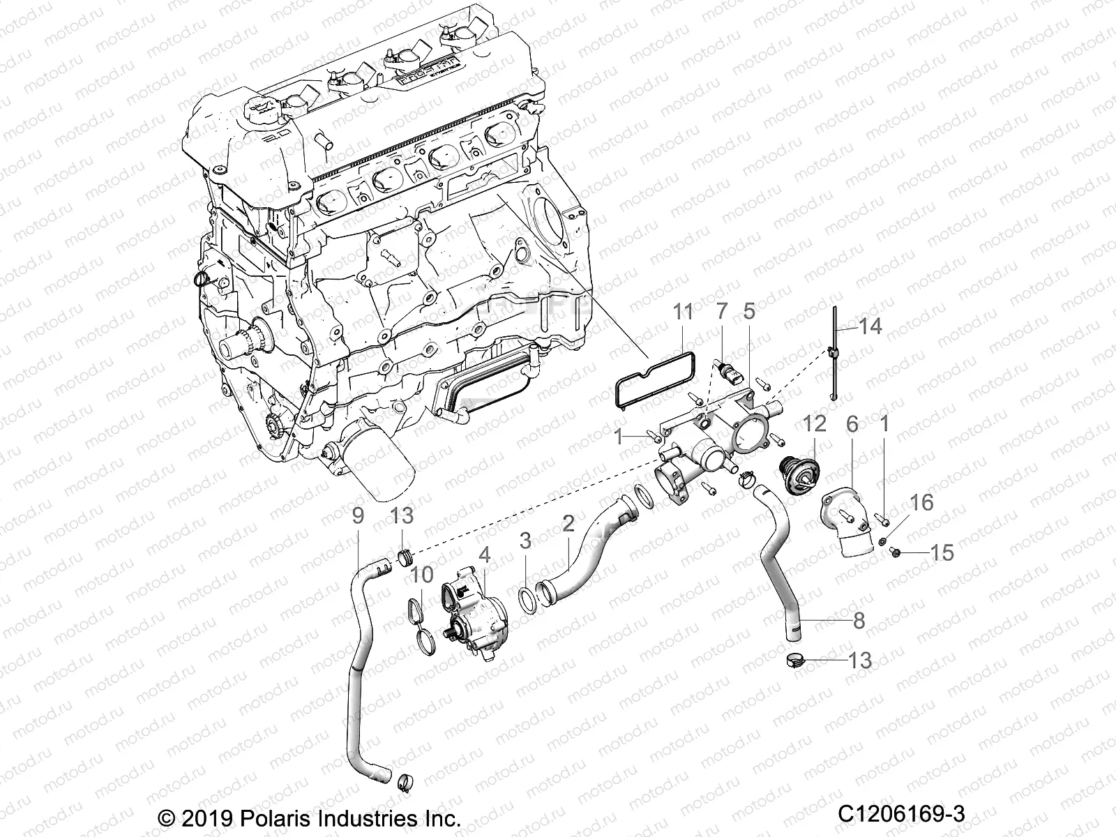 ENGINE | ENGINE, WATER PUMP AND RELATED - T21AARGB/SGD ALL OPTIONS (C1206169-3)