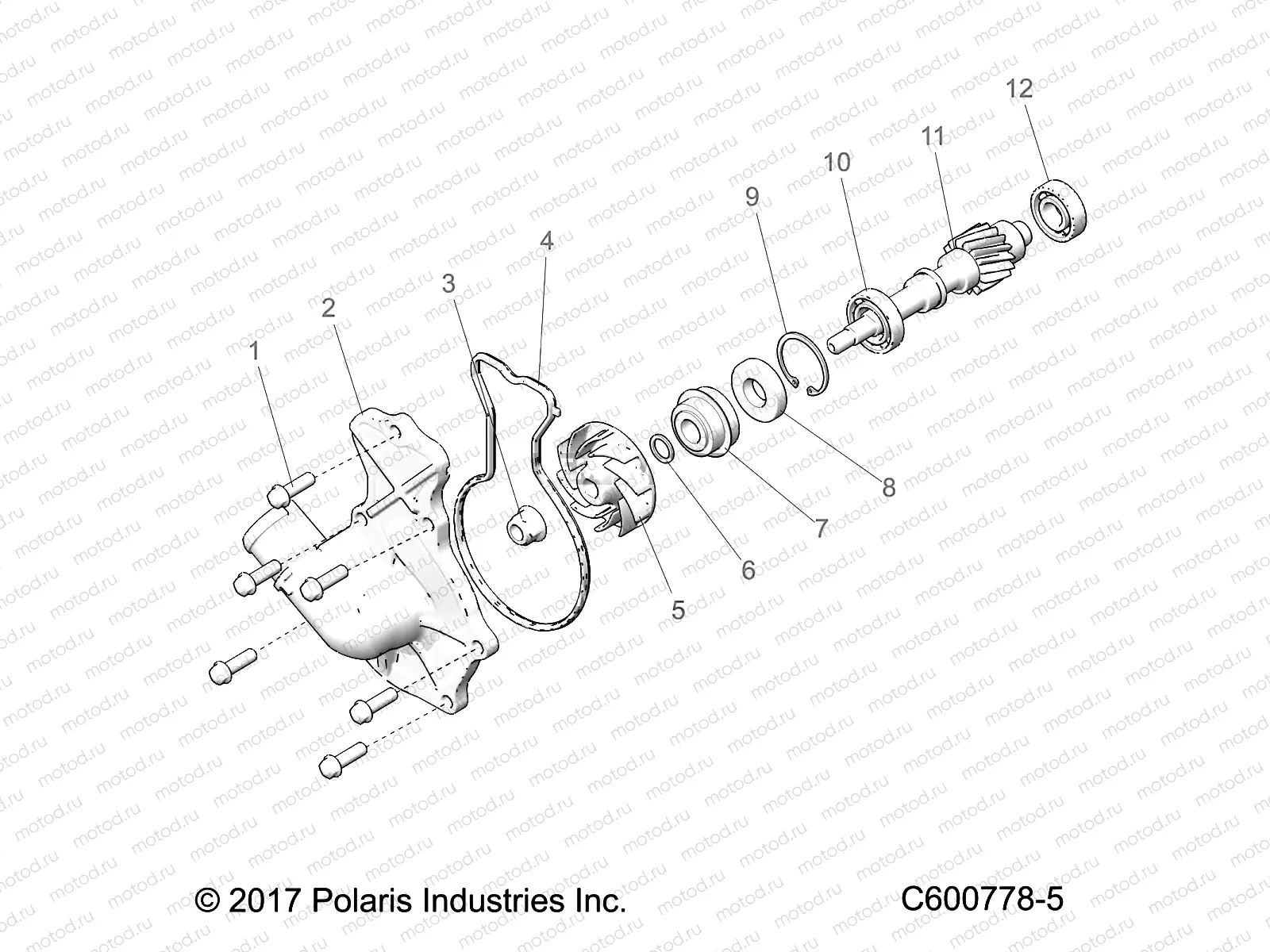 ENGINE | ENGINE, WATER PUMP - S21EKL8RS ALL OPTIONS (600778-5)
