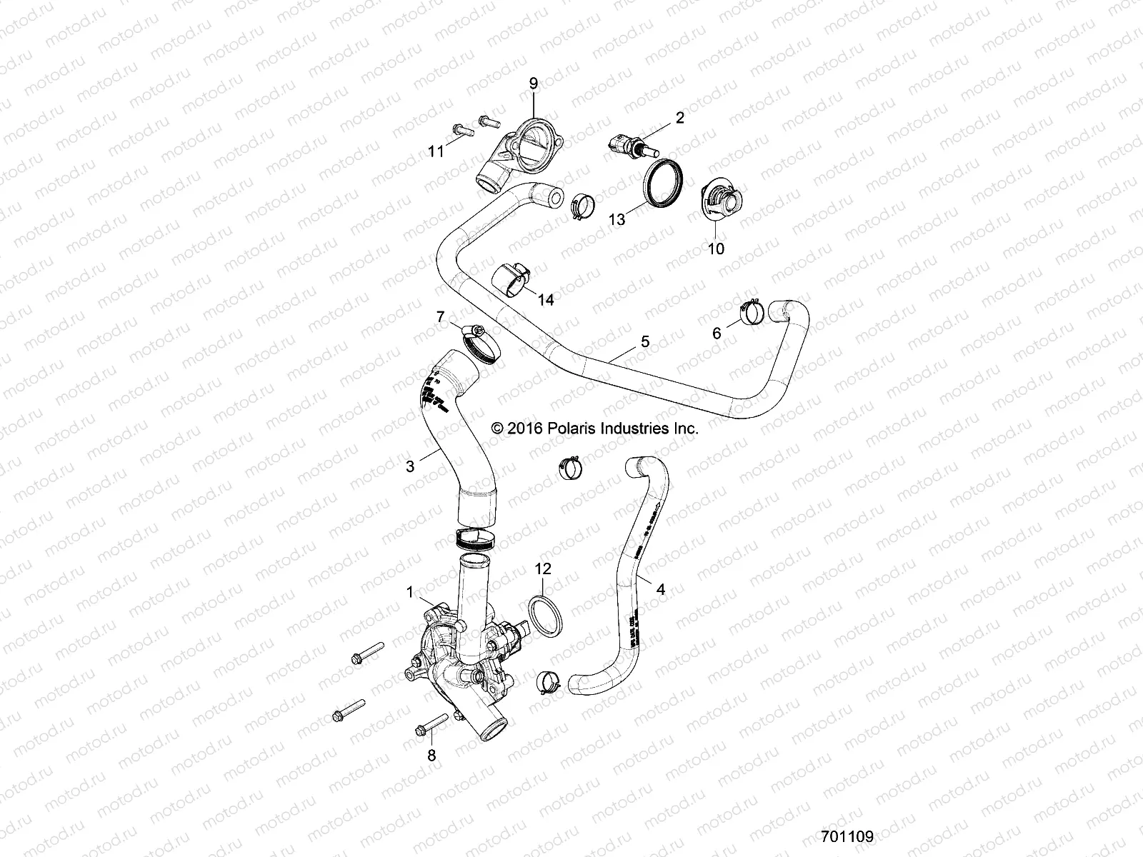 ENGINE | ENGINE, WATERPUMP AND BYPASS - R17RT_99 ALL OPTIONS (701109)