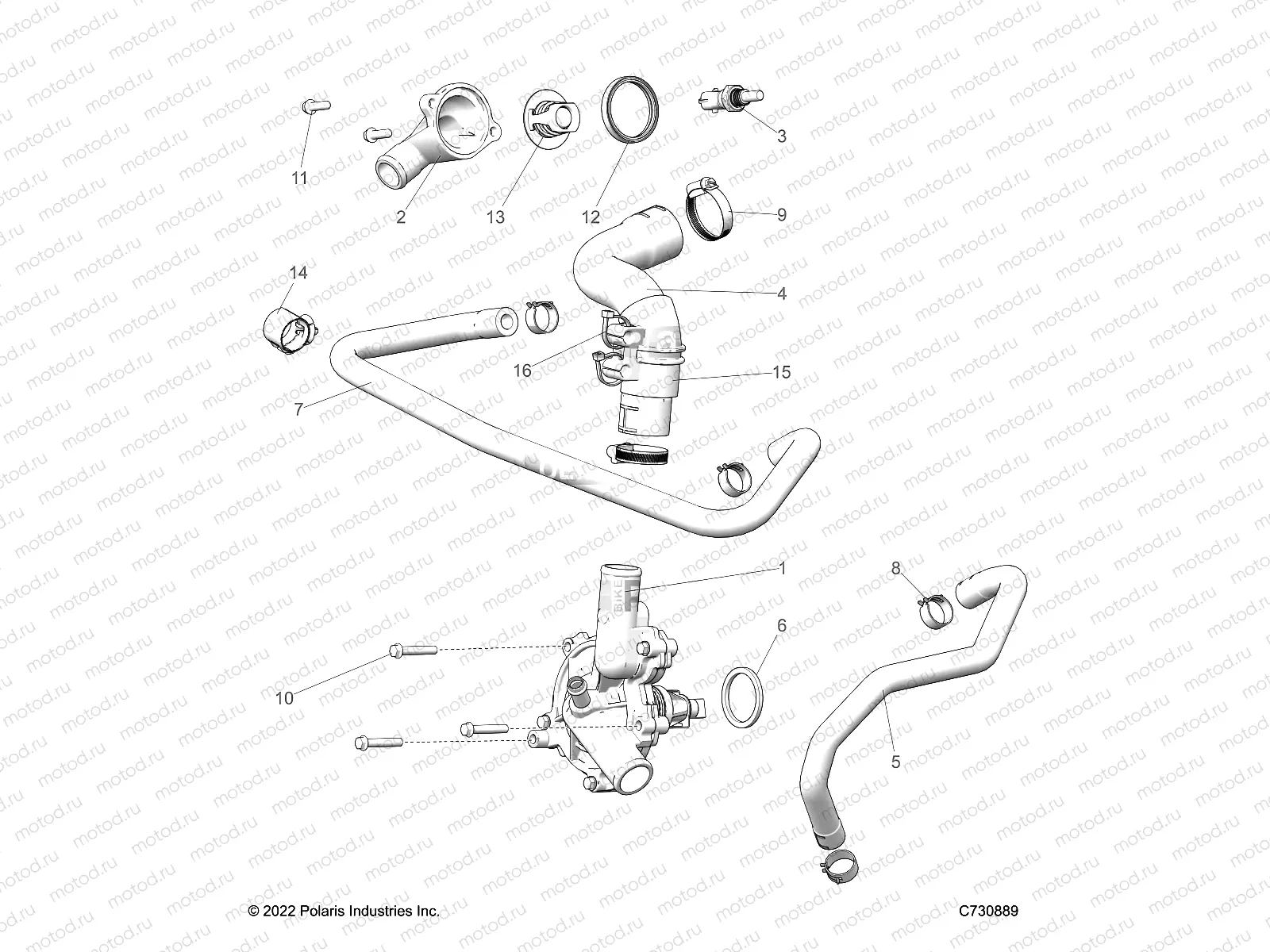 ENGINE | ENGINE, WATERPUMP AND BYPASS - R23TAE99AD/BD/AP/BP (C0703903)