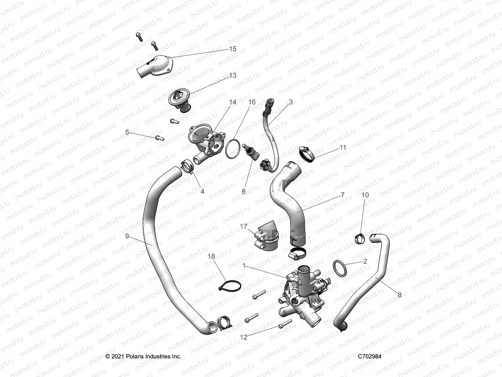 ENGINE | ENGINE, WATERPUMP AND BYPASS - Z22GAL92AG/AL/BG/BL (C702984)