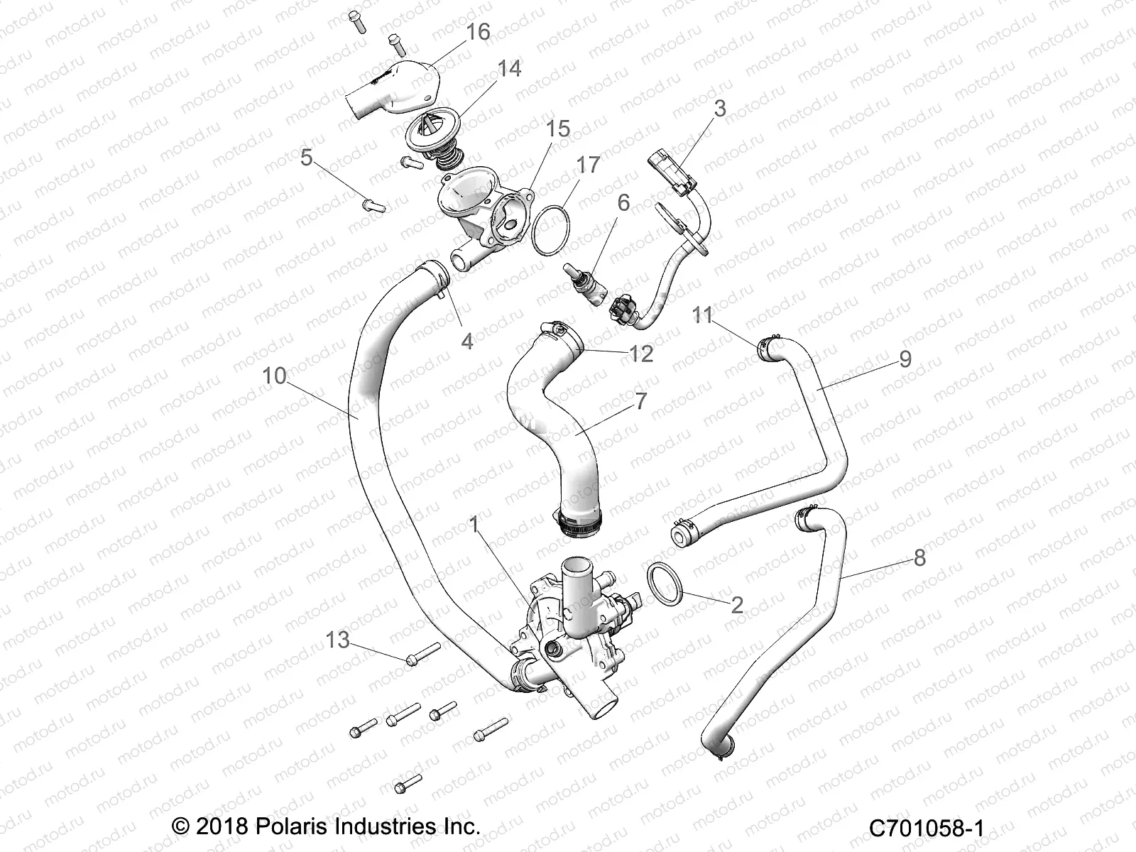 ENGINE | ENGINE, WATERPUMP AND BYPASS - Z22N4M99AR (C701058-1)