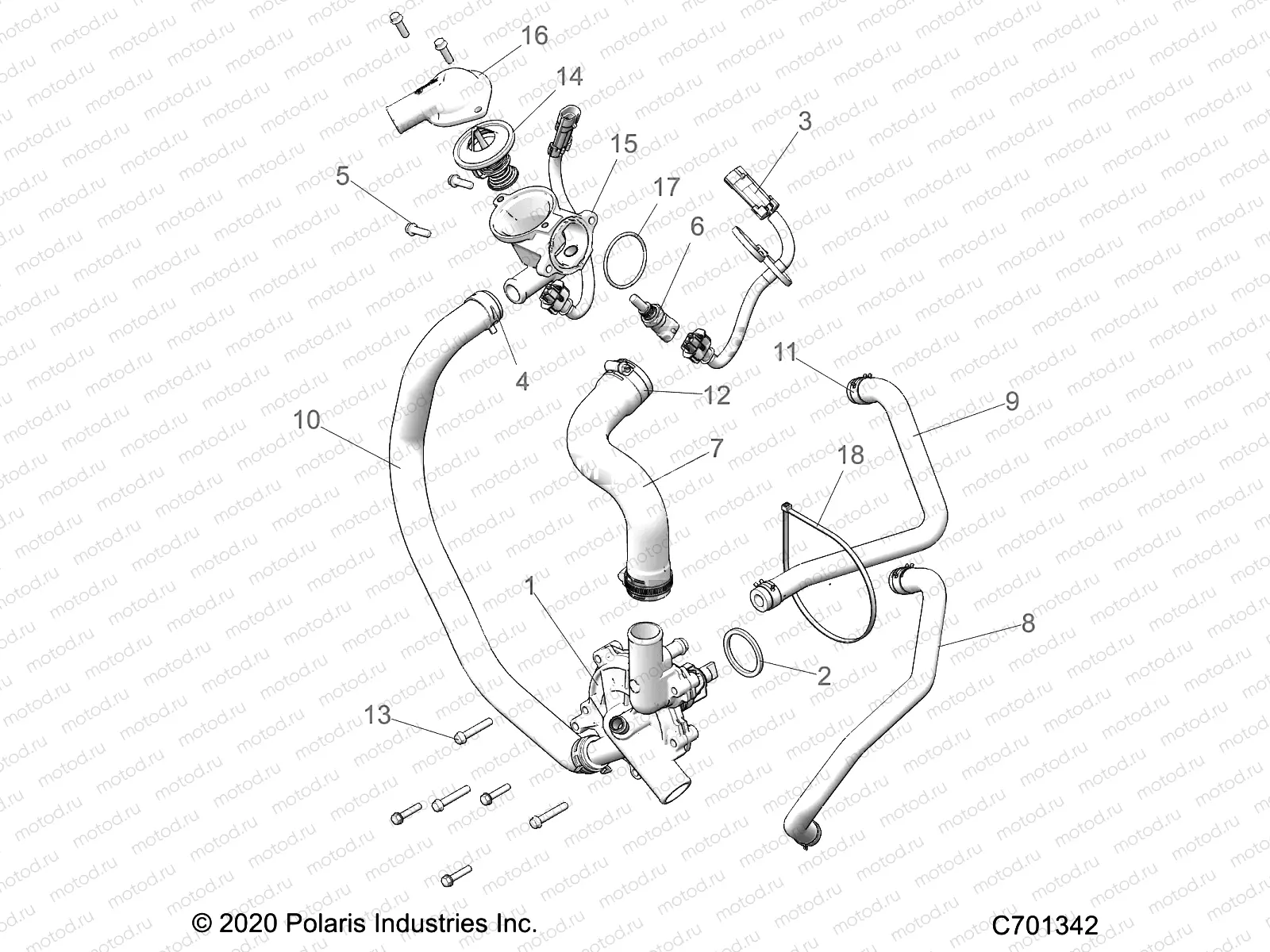 ENGINE | ENGINE, WATERPUMP AND BYPASS - Z22NAM99AR (C701342)