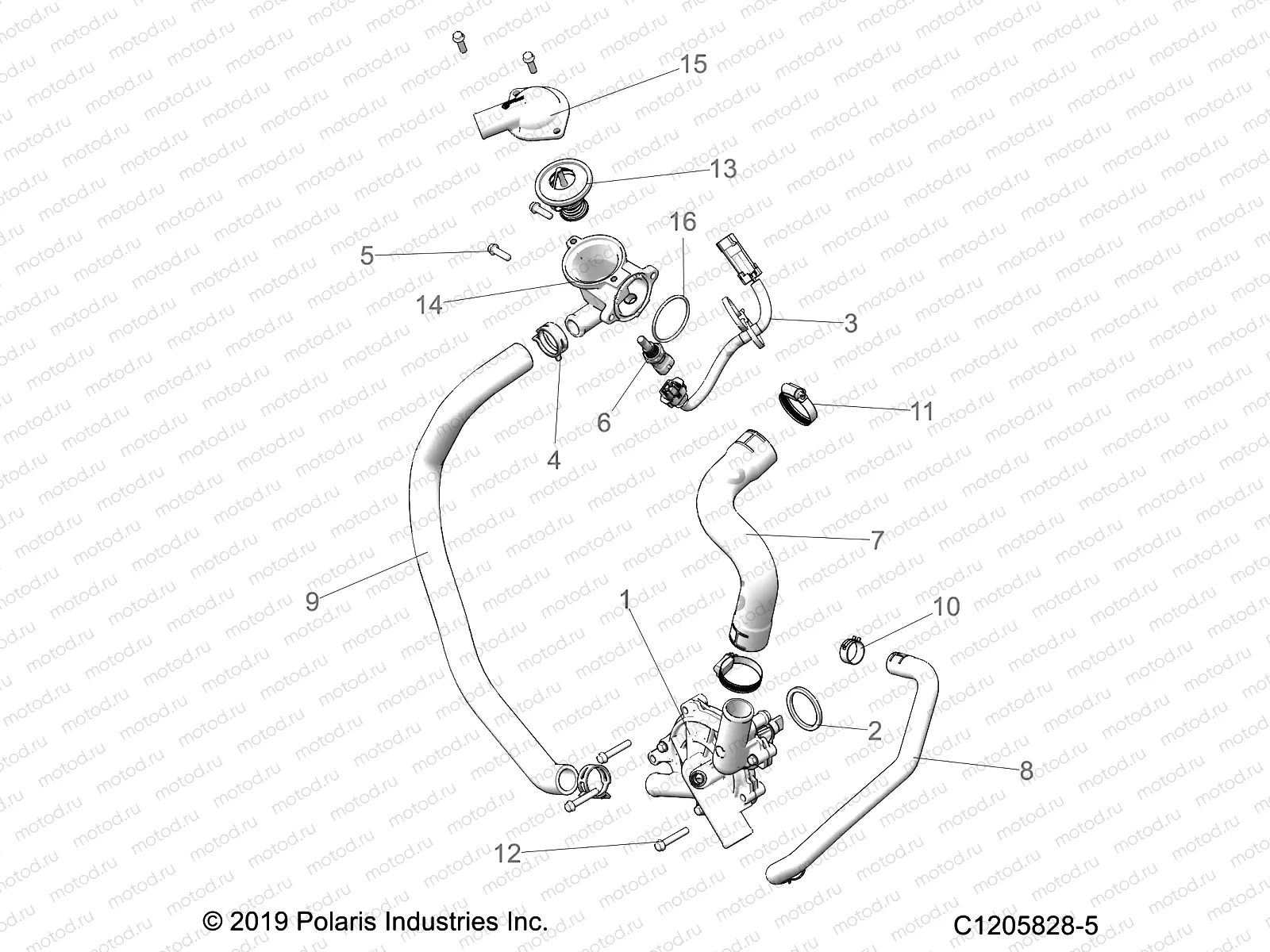 ENGINE | ENGINE, WATERPUMP AND BYPASS - Z22R4D92AB/AK (C1205828-5)