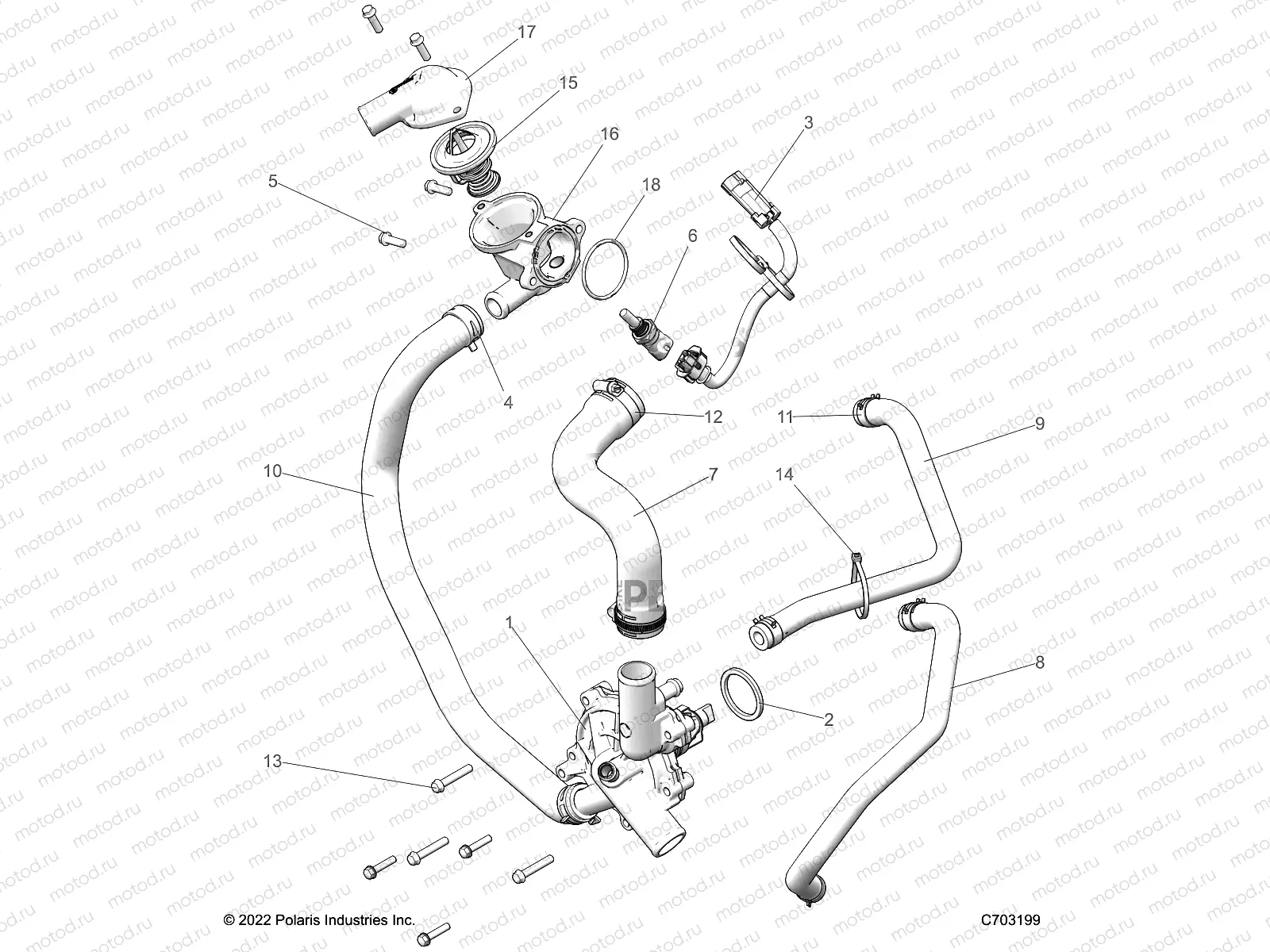 ENGINE | ENGINE, WATERPUMP AND BYPASS - Z23NAE99A/99B (C703199)