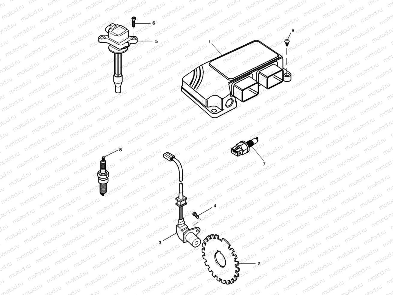 Engine Management System