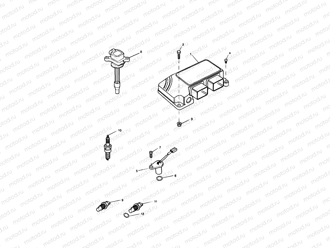 Engine Management System