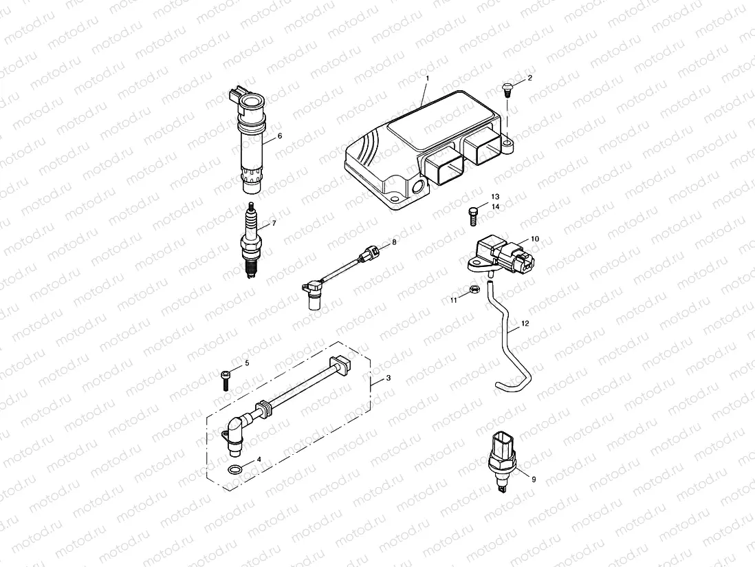 Engine Management System