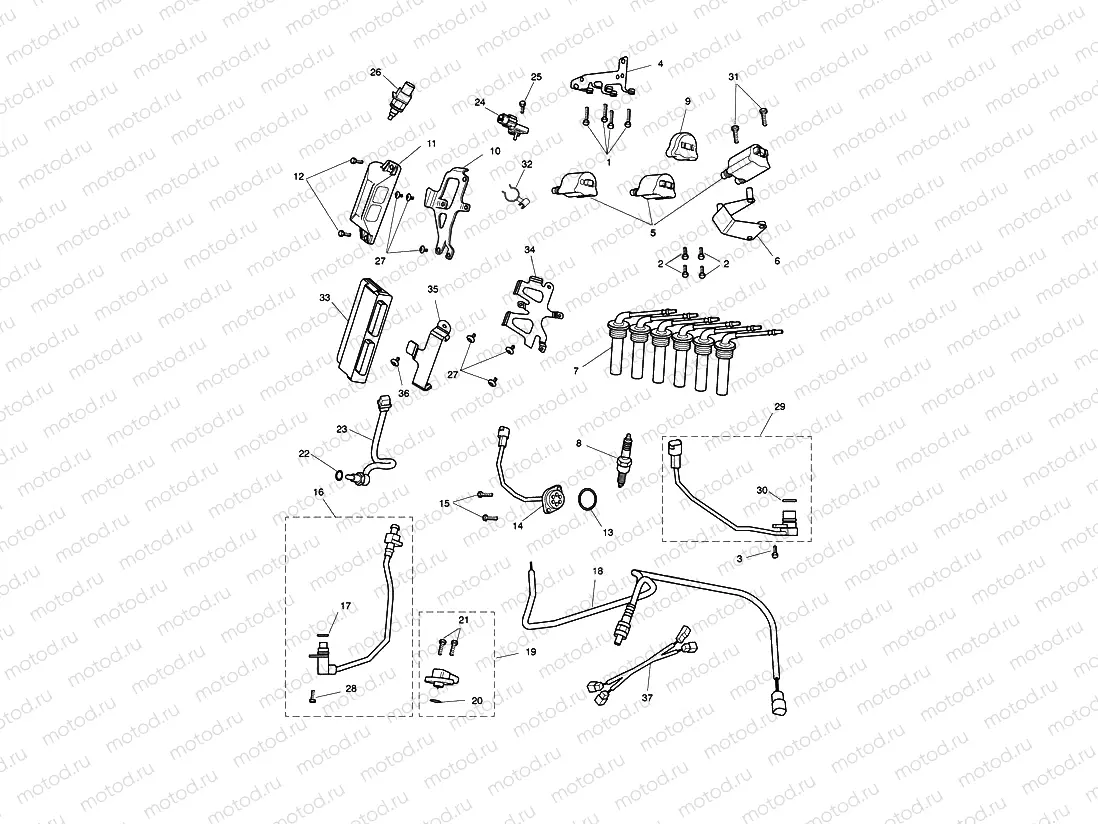 Engine Management System