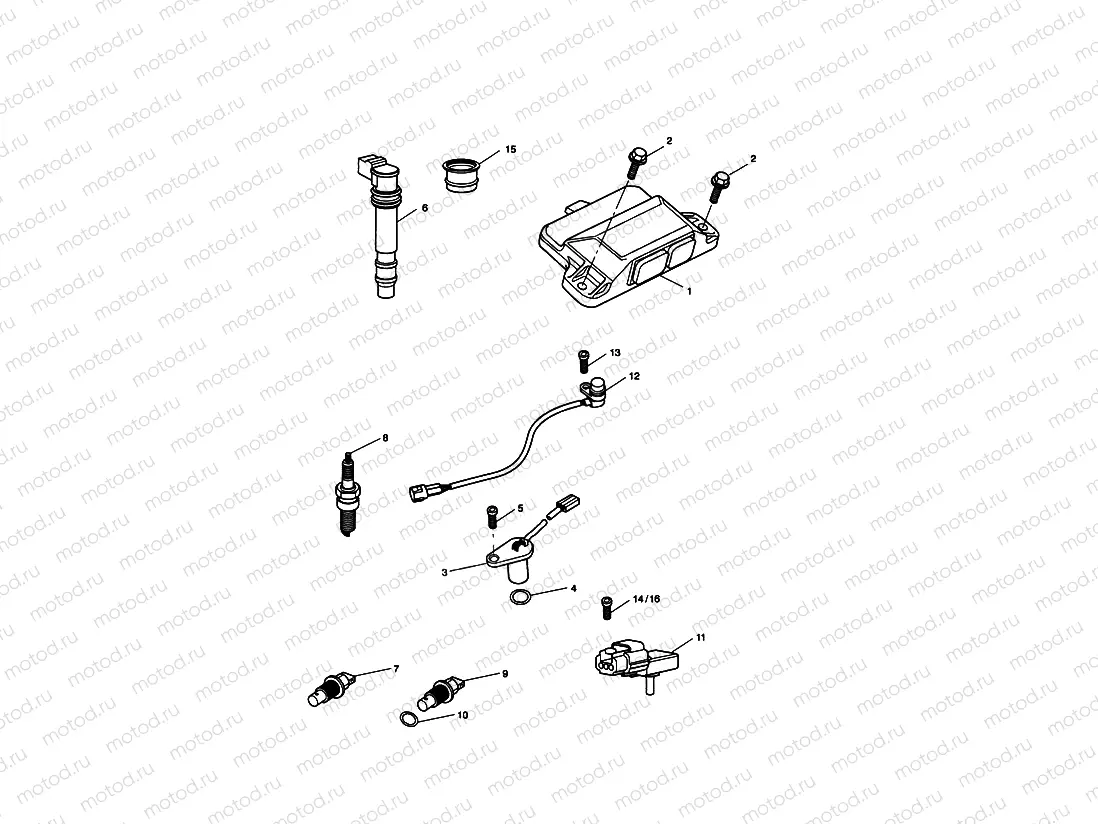 Engine Management System