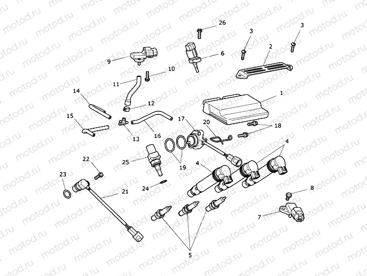 Engine Management System