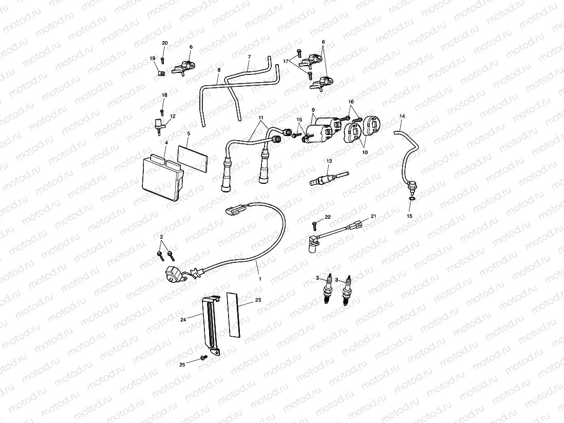 Engine Management System