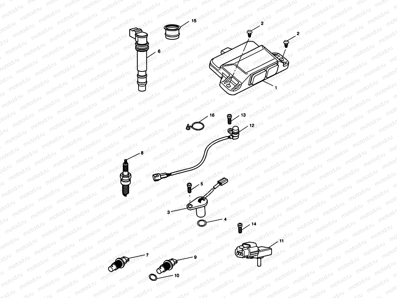 Engine Management System