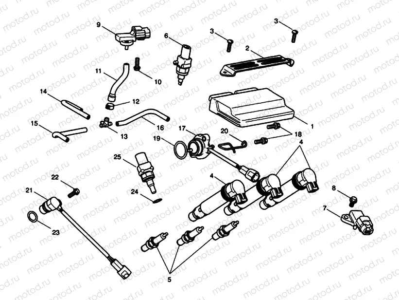Engine Management System