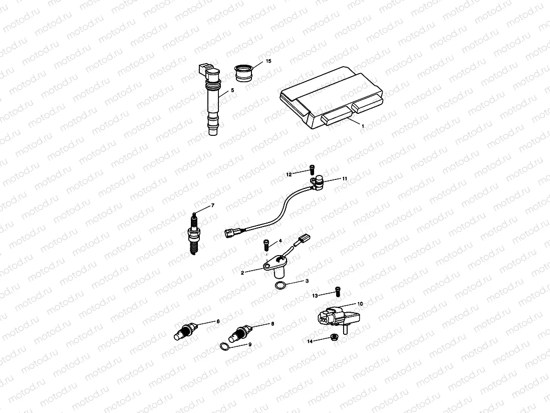 Engine Management System