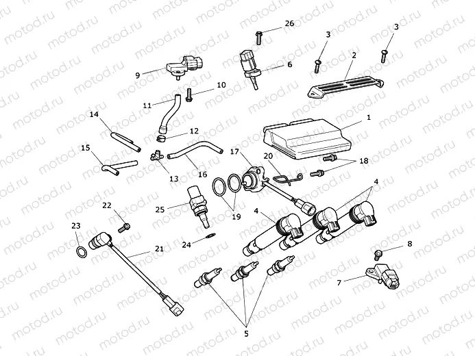 Engine Management System