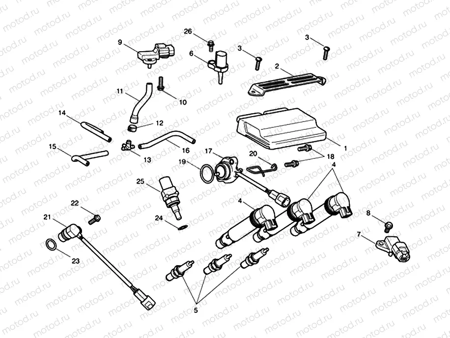 Engine Management System