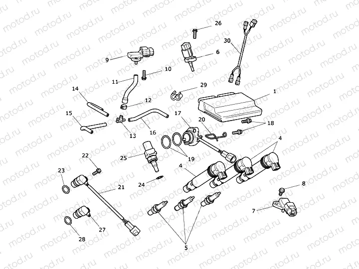Engine Management System