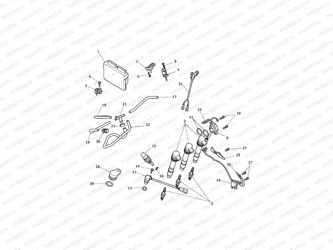 Engine Management System